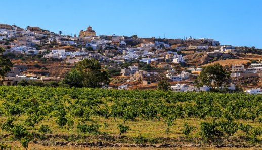 South Aegean Open Farm Days: Γνωρίζουμε τους παραγωγούς των Κυκλάδων