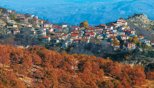Γρεβενά: Η πόλη των μανιταριών, των χωριών και των δασών (pics)