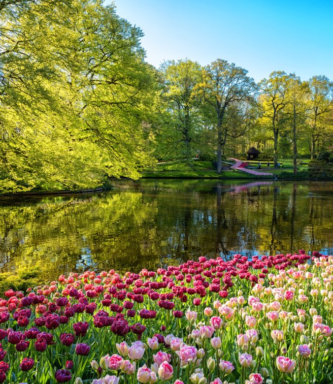 Τα 10 πιο πολύχρωμα μέρη στον κόσμο που πρέπει να επισκεφτεί κάθε λάτρης των λουλουδιών