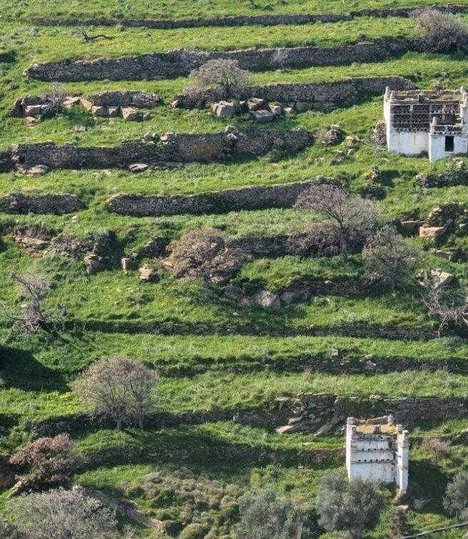 ΚΟΙΝΩΝΩ Festival: 5 ημέρες σύγχρονης δημιουργίας, συναντήσεων και δράσεων στην Τήνο
