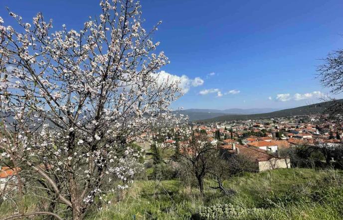 Αμφίκλεια: Ένας προορισμός για όλες τις εποχές