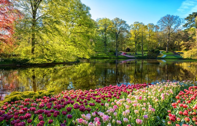Τα 10 πιο πολύχρωμα μέρη στον κόσμο που πρέπει να επισκεφτεί κάθε λάτρης των λουλουδιών