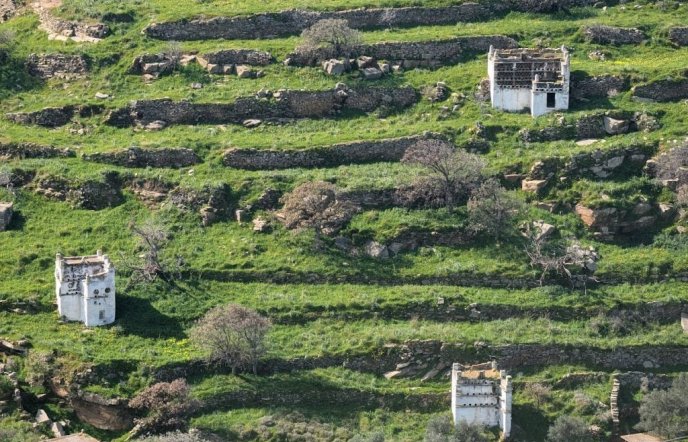 ΚΟΙΝΩΝΩ Festival: 5 ημέρες σύγχρονης δημιουργίας, συναντήσεων και δράσεων στην Τήνο