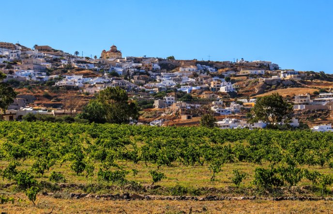 South Aegean Open Farm Days: Γνωρίζουμε τους παραγωγούς των Κυκλάδων