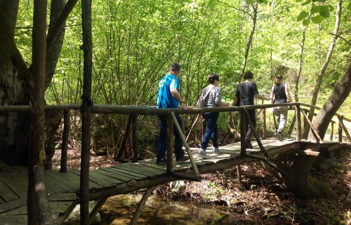 Μαγικές διαδρομές στον Αριστοτελικό Περίπατο στη Χαλκιδική