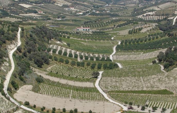Οινοποιείο Δουλουφάκη, κρασί βγαλμένο από την καρδιά της Κρήτης