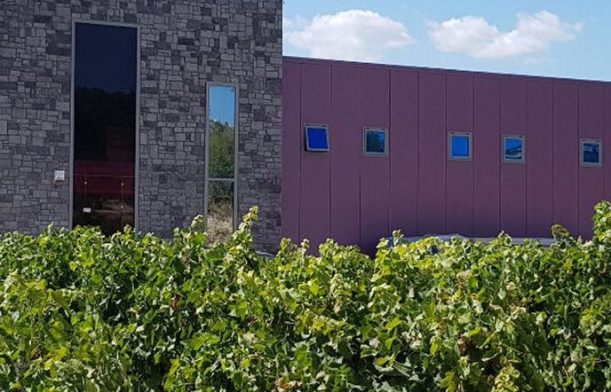 Κτήμα Γκόφα: Μια ξεχωριστή οινική εμπειρία στη Νεμέα