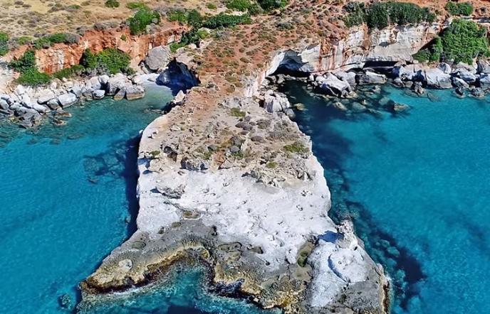Το μοναδικό απολιθωμένο φοινικόδασος της Ευρώπης βρίσκεται στην Ελλάδα