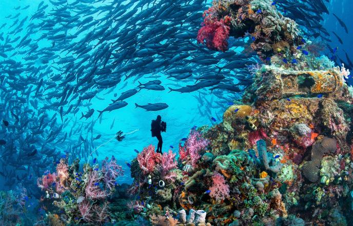 Τα 10 πιο εντυπωσιακά υποβρύχια αξιοθέατα του κόσμου