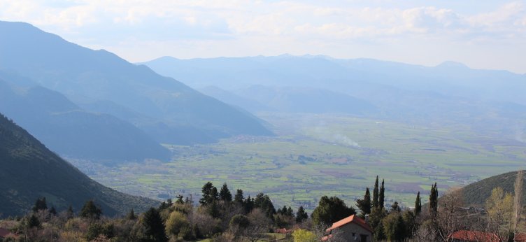 ΠΟΛΥΔΡΟΣΟΣ