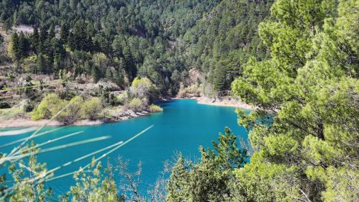 travelgo.gr