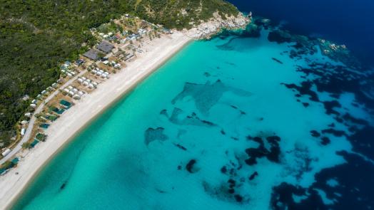 travelgo.gr
