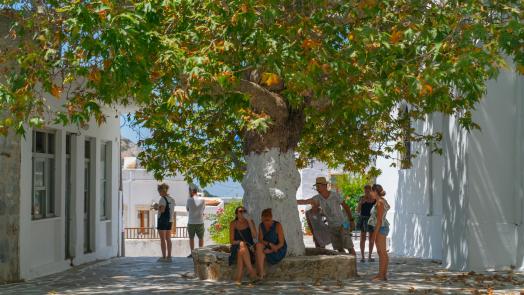 travelgo.gr