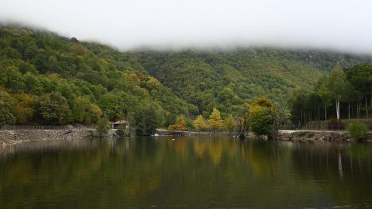travelgo.gr