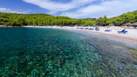 xylokeriza_spetses