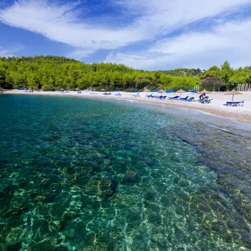 xylokeriza_spetses